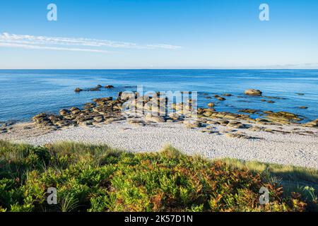 Francia, Finistere, Fouesnant, Pointe de Beg Meil sul sentiero costiero o GR 34 lungo percorso Foto Stock