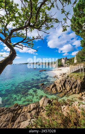 Francia, Finistere, Fouesnant, la costa tra Beg Meil e Cap Coz lungo il sentiero costiero o GR 34 lunga distanza percorso Foto Stock