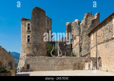 Francia, Hautes Alpes, Tallard, castello classificato come monumenti storici, cortile principale e prigione Foto Stock