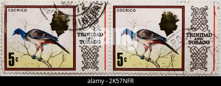 Foto di due francobolli congiunti da Trinidad e Tobago con un'illustrazione di un Cocrico Ortalis ruficauda Pictorial Definitives serie 1969-1976 Foto Stock