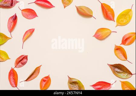 Coloratissime foglie autunnali su sfondo beige. Poster autunnale orizzontale, biglietti d'auguri, intestazioni, sito Web e app Foto Stock