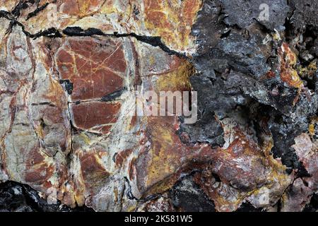 Rame nativo di Ray, Arizona, per uso in background Foto Stock