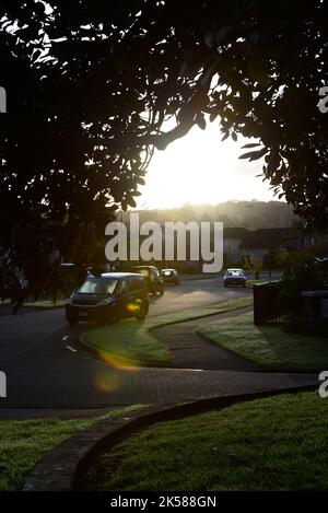 Alba su una strada diritta con un albero. Foto Stock