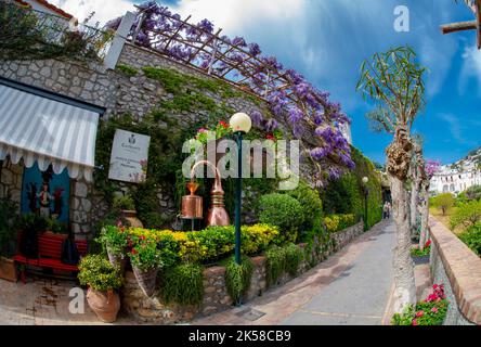 Aprile 24 2022 - Capri Italia strada stretta piena di fiori viola di fronte ad un negozio di profumi Foto Stock