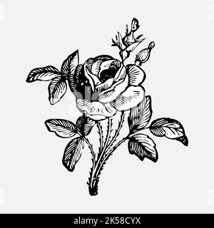 Clipart disegnata a mano rosa, vettore di illustrazione di fiori. Illustrazione Vettoriale