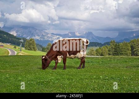 Alpe di Siusi Foto Stock