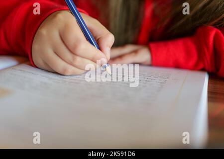 Homeworks.schoolgirl fa il suo homeworks.matita in una mano del childs scrive le parole in un taccuino.Studio ed educazione. Il bambino scrive con una matita in un taccuino Foto Stock