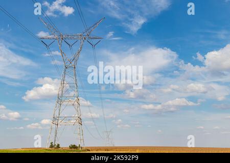 Torri di trasmissione dell'elettricità in campo agricolo rurale. Sicurezza, sicurezza e manutenzione della rete elettrica e della distribuzione Foto Stock