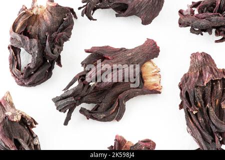 Pianta riunita su fiori di ibisco essiccati per infusione Foto Stock