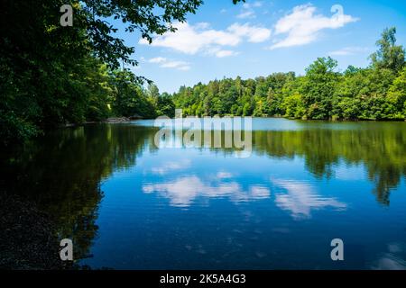 Germania, Stuttgart City Park Baerensee lago acqua che riflette alberi verdi e paesaggio naturale con cielo blu in estate, perfetto trekking parco urbano Foto Stock