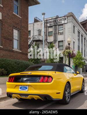 FERNDALE, MI/USA - 19 AGOSTO 2016: Un'auto Ford Mustang del 2016 al 'Mustang Alley', presso il Ferndale Center Building, Woodward Dream Cruise. Foto Stock