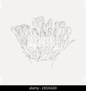 Disegno di disegni al tratto in tulipani, vettore di illustrazione in bianco e nero. Illustrazione Vettoriale