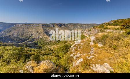 Vista sulla Gorge de la Vis e il Cirque de Navacelles, Parc National des Cévennes Paesaggio scenico nella natura in Europa. Foto Stock