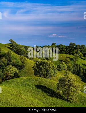 Un incredibile colpo di querce e colline Zagajica in Serbia Foto Stock