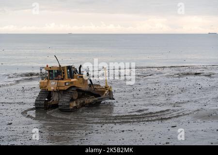 Terra di spiaggia riempe in Gdansk, Polonia © Wojciech Strozyk / Alamy Stock Photo *** Local Caption *** Foto Stock