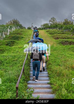 Au ZH, Svizzera - 15,2022 settembre: Un gruppo di persone con ombrelloni salgono le scale tra i vigneti in una giornata di pioggia Foto Stock