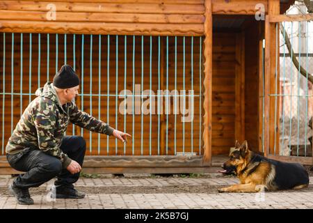 Addestramento del pastore tedesco (comando SIT) Foto Stock