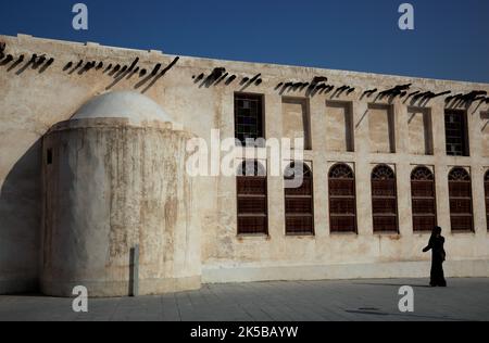 Araberpferde Zuchtställe a al Jasra, Doha, Qatar, Katar Foto Stock