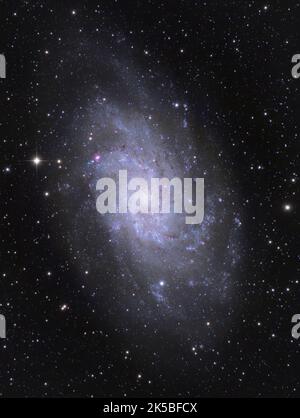 La Galassia del Triangolo (NGC 598) nella costellazione del Triangolo. Fotografato dal Regno Unito Foto Stock