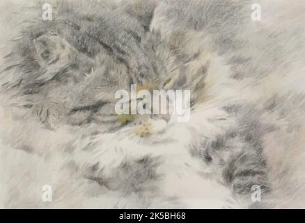 Illustrazione vettoriale di piccolo gatto addormentato in stile grafico. Disegno a matita Illustrazione Vettoriale