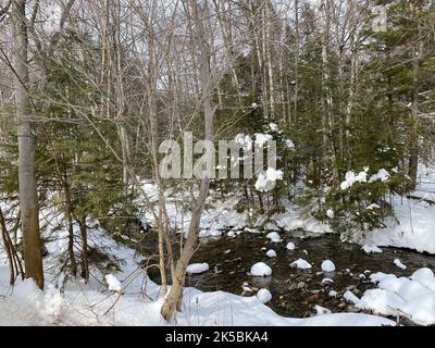 Piccolo fiume ghiacciato che scorre attraverso le pietre nella foresta innevata Foto Stock