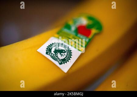 Brema, Germania. 28th Set, 2022. Un adesivo con l'etichetta Rainforest Alliance è su una banana Credit: Sina Schuldt/dpa/Alamy Live News Foto Stock