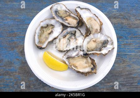 Piatto di ostriche fresche nelle loro conchiglie, West Mersea Oyster Bar, Coast Road, West Mersea, Essex, Inghilterra, Regno Unito Foto Stock