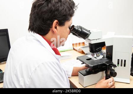 Patologo che lavora con biopsia tissutale colorata su vetrini di vetro in laboratorio. Concetto di diagnosi del cancro. Concetto medico. Foto Stock