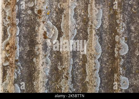 Struttura di ardesia di amianto vecchia coperta di lichene e muschio. Sfondo naturale vintage. Foto Stock