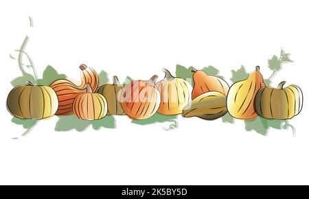 Set di zucche. Composizione autunnale acquerello con zucche. Modello per il festival Harvest o il giorno del Ringraziamento. Illustrazione Vettoriale