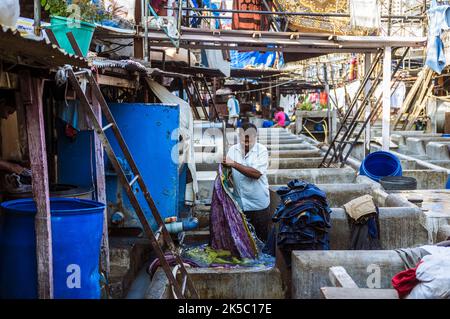 Mumbai, Maharashtra, India : UN lavatore dhobi lavora ad una penna di lavaggio individuale al 140-year old Dhobi Ghat open air lavanderia luogo dichiarato essere il Foto Stock