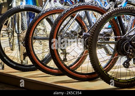 Schwalbe Styx MTB pneumatici per le ruote posteriori di mountain bike in uno stand di vendita, Hannover, Germania, 17 settembre 2022 Foto Stock