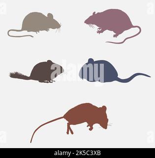 Ratto, mouse animale selvaggio colorato icona Set Illustrazione Vettoriale