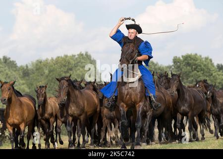 Csikos cowboys Ungheria Hortobagy Puzsta tradizione europea Foto Stock