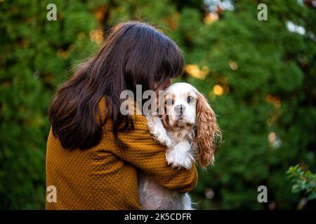 Giovane donna che tiene il suo proprio cane adulto cavalier re charles spaniel. Foto Stock