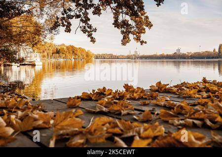 Autunno al lago Maschsee di Hannover, bassa Sassonia, Germania Foto Stock