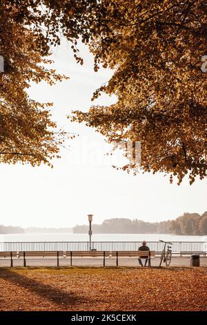 Autunno al lago Maschsee di Hannover, bassa Sassonia, Germania Foto Stock