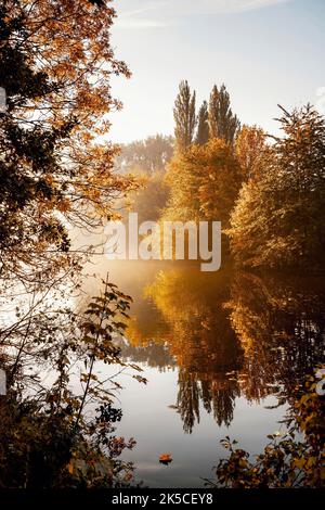 Autunno al lago Maschsee di Hannover, bassa Sassonia, Germania Foto Stock