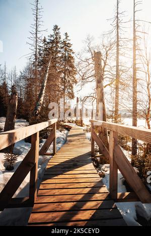 Inverno al lago artificiale di Oderteich nelle montagne di Harz vicino a Goslar e Braunlage, bassa Sassonia, Germania, Europa Foto Stock