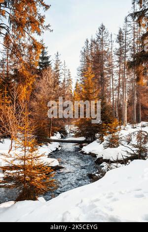 Inverno al lago artificiale di Oderteich nelle montagne di Harz vicino a Goslar e Braunlage, bassa Sassonia, Germania, Europa Foto Stock