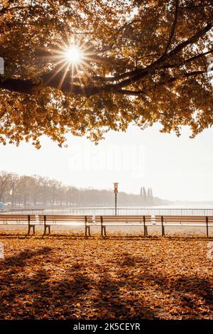 Autunno al lago Maschsee di Hannover, bassa Sassonia, Germania Foto Stock