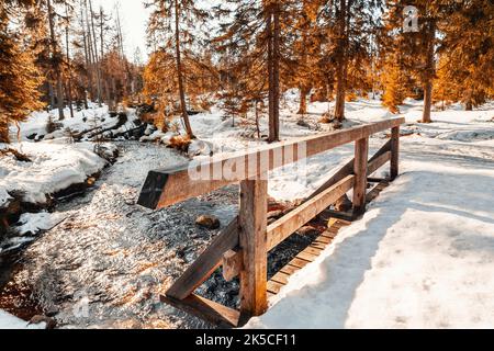 Inverno al lago artificiale di Oderteich nelle montagne di Harz vicino a Goslar e Braunlage, bassa Sassonia, Germania, Europa Foto Stock