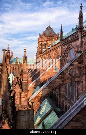 Notre-Dame de Strasbourg. Strasburgo, Alsazia, Francia. Foto Stock