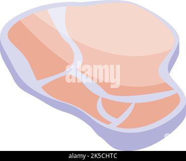 Icona carne cruda vettore isometrico. Ferro minerale. Nutrizione Zn Illustrazione Vettoriale
