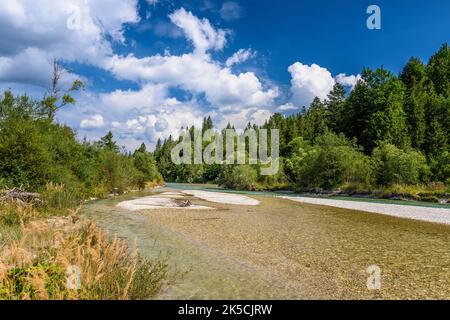 Germania, Baviera, Werdenfelser Land, Mittenwald, valle di Isar vicino al bacino idrico di Isar Foto Stock