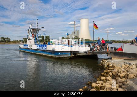 Rheinberg, Duisburg, Renania settentrionale-Vestfalia, Germania - traghetto sul Reno Walsum-Orsoy con la centrale elettrica a carbone STEAG Walsum presso il molo dei traghetti di Orsoy, dopo una lunga siccità il livello del Reno continua a diminuire. Foto Stock