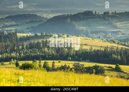 Europa, Polonia, Polonia minore, Monti Tatra, Podhale, Vista da Czarna Gora Foto Stock