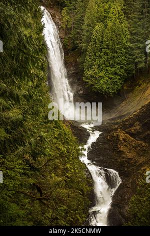 WA22164-00...WASHINGTON - Middle Wallace cade al Wallace Falls state Park in Gold Bar. Foto Stock