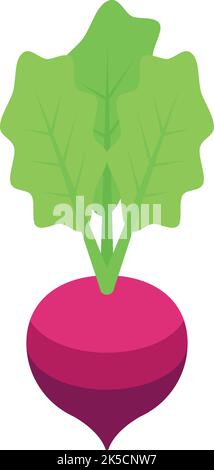 Vettore isometrico a icone di zinco radish. Supplemento nutrizionale. Calcio salute Illustrazione Vettoriale