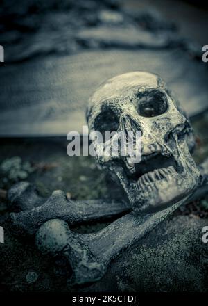 Cimitero di San Giovanni a Norimberga Foto Stock